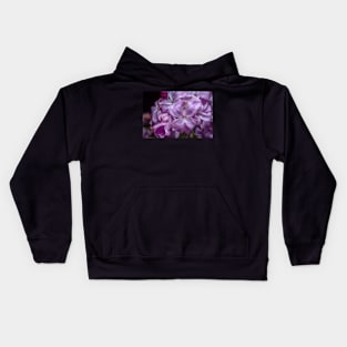 Color and Fragrance Kids Hoodie